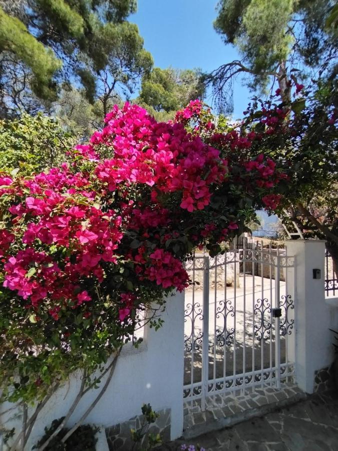 Poros TownRigos House At Askeli Beach, Poros Island别墅 外观 照片